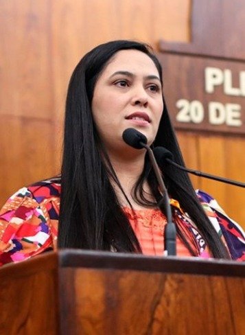 Escalada de feminicídios no RS leva deputada Eliana Bayer a propor Comissão Especial de Combate à Violência contra a Mulher