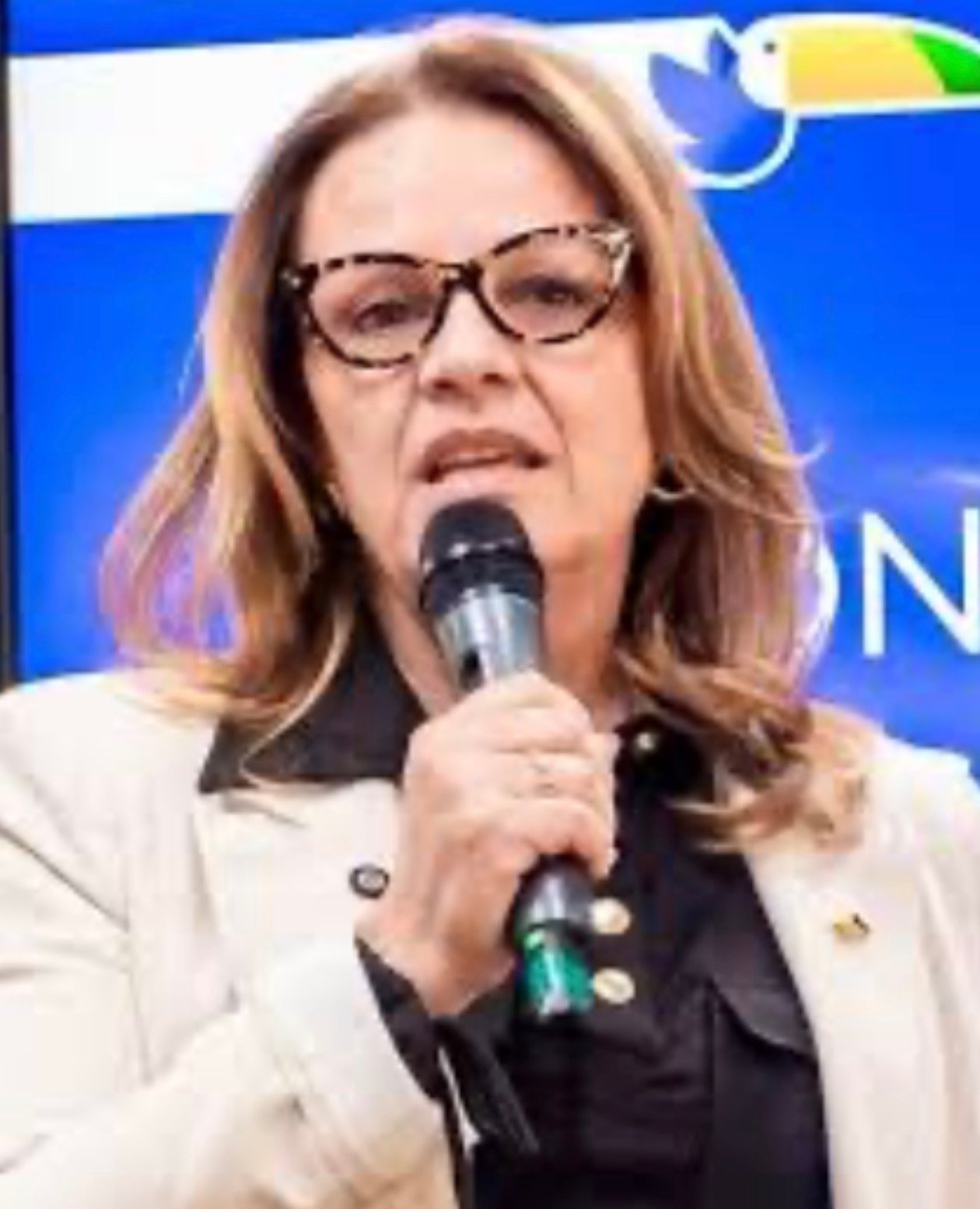 Vice  prefere Expointer e PSDB volta à estaca zero