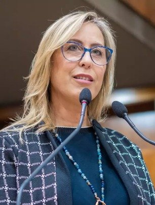 No dia 13, esquerda sofre derrota no Plano Diretor, provoca Fernanda Barth
