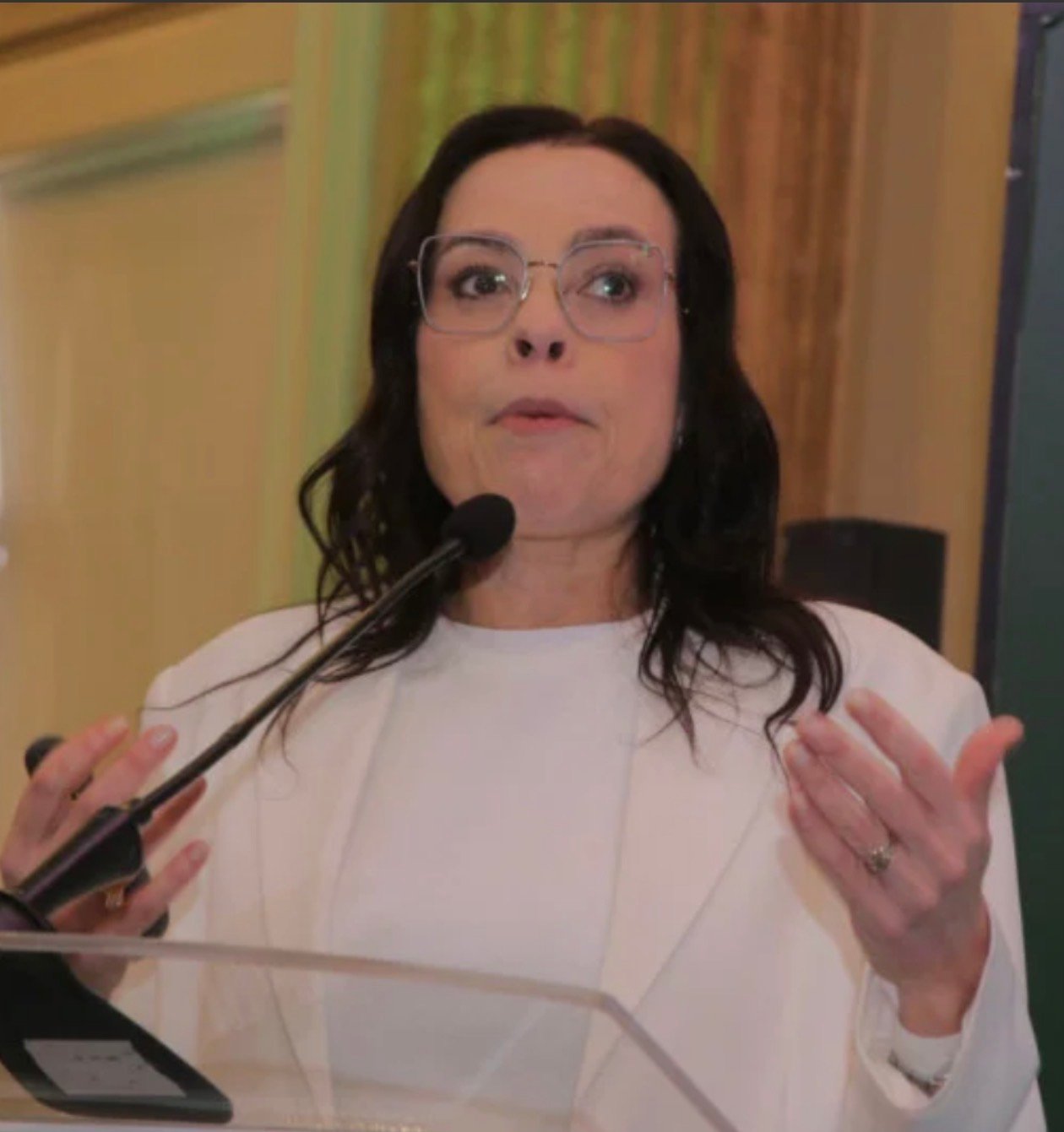 Juliana Brizola adota tom ao centro e surpreende empresários na Federasul